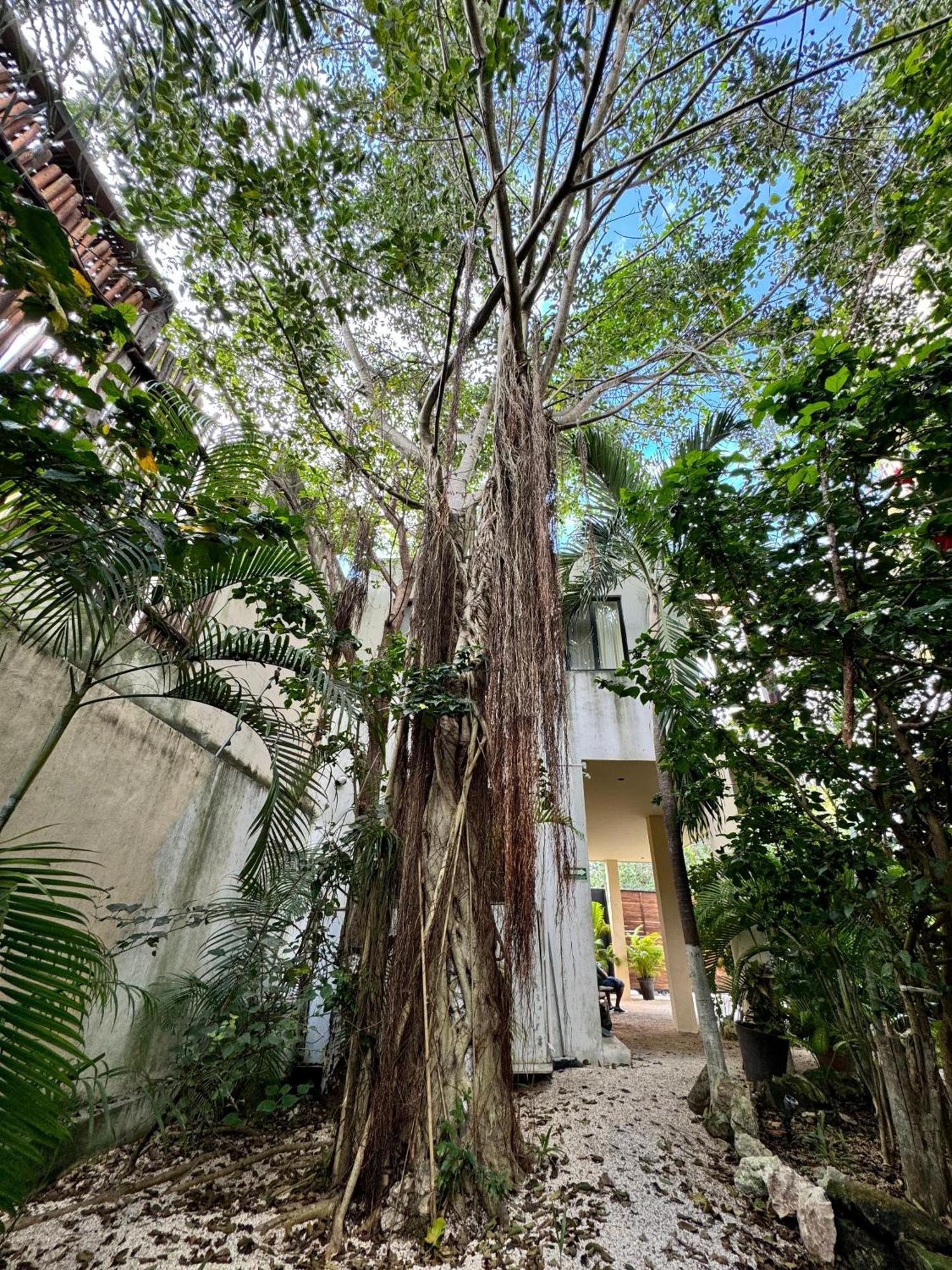 Starfit Hotel Boutique Beachclub, Spa & Gym Included ตูลุม ภายนอก รูปภาพ